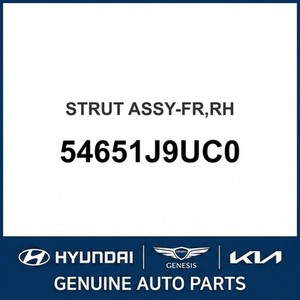 Nouveaux amortisseurs et vérins Kona, Droit 54651J9UC0 - Product Image 1