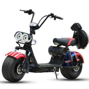 Bicicleta eléctrica y motocicleta scooter de dos ruedas con llantas anchas y ruedas grandes, modelo HL01, para hombres y mujeres, con una velocidad de 30 km por hora. - Product Image 5