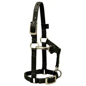 Chất lượng cao ngựa Halter cho tự nhiên horsemanship Tiếng Anh da Halter đào tạo sản xuất từ Ấn Độ