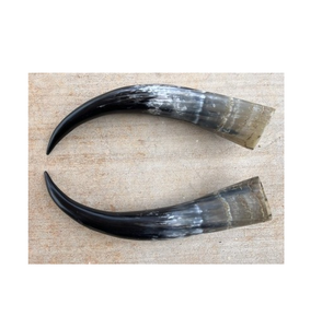 100% Natural Buffalo <b>Decorative</b> Horn New Style Handmade Buffalo Ox Horn Sculpture <b>Decorative</b> Horn - Product Image 5