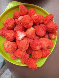 ¡OFERTA ESPECIAL! Fresas Liofilizadas (FD) en Rodajas, a Granel, Fruta Entera Lista para Consumir, Ideal para Repostería, Postres y Bebidas - Blue Lotus - Product Image 2
