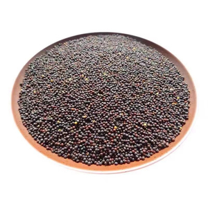 Graines de moutarde de qualité supérieure, vente en gros, approvisionnement en vrac, qualité alimentaire, prêtes à être expédiées, fournisseur d'exportation de qualité supérieure - Product Image 4
