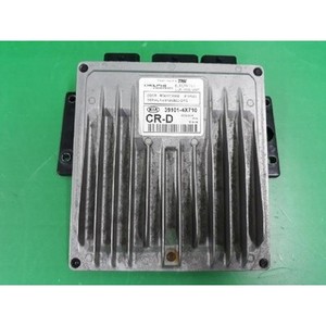 ECUs y Módulos de Computación Usados de Carnival 391014X710 - Product Image 1