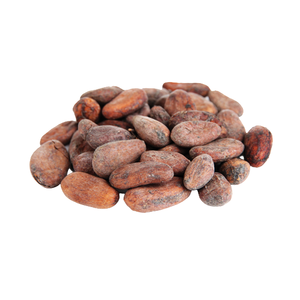 เมล็ดโกโก้ดิบตากแดด |   ผู้จัดจำหน่ายเมล็ดโกโก้ |   ผู้ผลิต |   ผู้ค้าส่ง - Product Image 1