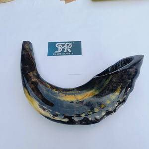 Corne de bélier polie artisanale Shofar artefact religieux naturel pour la décoration intérieure rituels de prière et cérémonies culturelles - Product Image 1