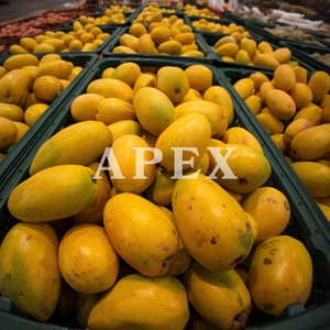 Purée de mangue Apex International, fabriquée à partir de mangues Totapuri fraîches, stockage réfrigéré - Product Image 4