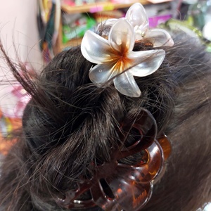 Pinces à cheveux en plastique - Accessoires capillaires floraux hawaïens, pétales translucides givrés, pour une ambiance tropicale parfaite pour les filles et les femmes - Product Image 4