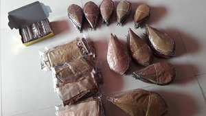 High Quality Indian Terminalia Catappa <b>Almond</b> Leaves 26-30cm 1000 Pack for Pet Cleaning Purpose - Product Image 3