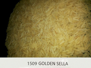 Arroz Basmati Golden Sella 1509 de calidad de exportación de la India |   Empaque Personalizado |   Suministro al por Mayor a Precios Competitivos - Product Image 4