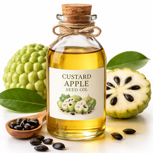 น้ำมันเมล็ดแอปเปิ้ลคัสตาร์ดคุณภาพสูง น้ำมันธรรมชาติบริสุทธิ์สำหรับบำรุงเส้นผมและผิว ช่วยเพิ่มความชุ่มชื้น จำหน่ายส่งในราคาขายส่ง - Product Image 1