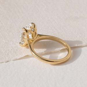 Anillo de Compromiso y Boda de Diamante Ovalado Cultivado en Laboratorio de Platino 950 de Lujo de Alta Gama, Diseño Botánico Solitario, Fabricante - Product Image 3
