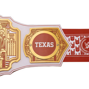 Cinturón de Campeonato Personalizado Estilo Texas Longhorns con Placas de Metal Pesado Doradas FITLER SPORTS Hebilla de Placa Título de Lucha Libre - Product Image 4