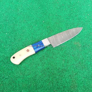 Couteau de cuisine japonais artisanal en acier Damas écologique avec manche en os de chameau et étui en cuir pour chef, idéal pour l'épluchage et le désossage - Product Image 2
