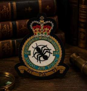 RAF-9006 Custom Embroidered Patch with Crown Eagle Design Lace Sew-On Fabric Badge Safety Pin for Garment Circular Style - Product Image 4