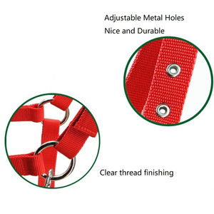 Nouveaux Haltères en Nylon Personnalisés pour Chevaux 2026 – Les Plus Tendance et Confortables, Ajustables avec Logo et Couleur Personnalisés, Qualité Exceptionnelle - Product Image 3