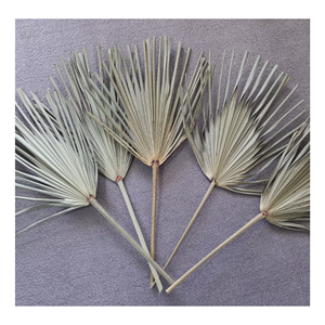 Matériel en feuilles de palmier naturelles pour la fabrication de paniers, décorations murales, artisanat fait main, décoration rustique, vente en gros, exportation du Vietnam - Product Image 6