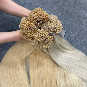 Extensions de cheveux de qualité supérieure, pointe plate, couleurs européennes, cheveux vietnamiens lisses naturels - Product Image 5