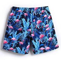 Shorts de bain pour homme, séchage rapide, respirants, pour la plage, la natation et le surf.