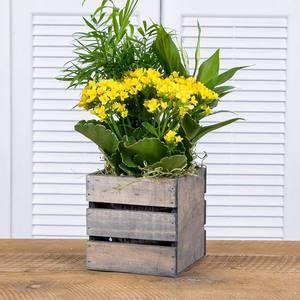 Jardinière carrée en bois pour jardin intérieur et extérieur, pots décoratifs en bois pour fleurs, décoration intérieure, fabriqué au Vietnam - Product Image 6