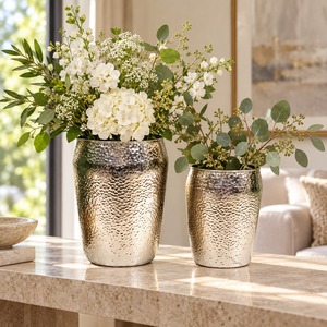 Elegante Juego de 2 Jarrones para Flores, Jarrones Decorativos Premium para el Hogar, Jarrones Decorativos para el Pasillo, Centro de Mesa Decorativo para el Hogar, Regalo Moderno para el Hogar - Product Image 1