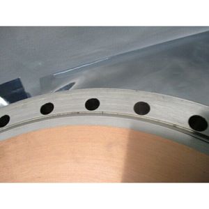 Tapa de Brida de Cierre para Puerto de Bombeo, Tipo Gate - Equipo y Piezas de Semiconductores de Confianza de Línea Global - Product Image 3