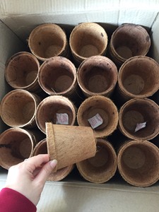 [VENTE CHAUDE] Pot en fibre de coco biodégradable BLUE LOTUS avec trou de drainage pour la propagation des plantes, la germination des graines, utilisation en extérieur - Product Image 6