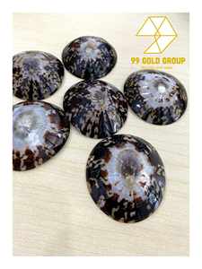 Concha de Limpet Redonda Pulida Decorativa y Ecológica (Tema Animal) para Empaque de Regalos y Decoración del Hogar, Proveedor de Vietnam, 99 Gold Data - Product Image 5