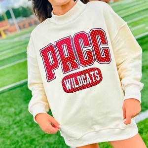 PRGC Cotton Fleece <b>Mock</b> <b>Neck</b> Sweatshirt Custom Sorority Fraternity Chenille Letter Pullover Unisex - Product Image 1
