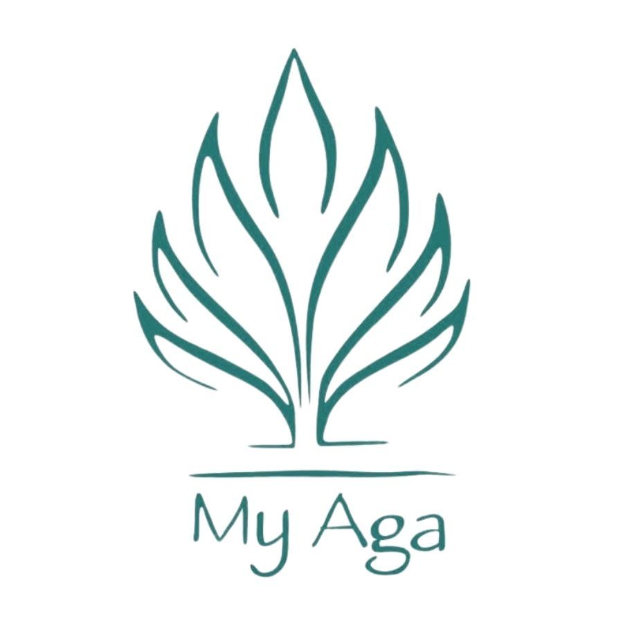 HANH NGUYEN CAC COMPANY LIMITED logo