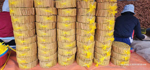 100% Natural Vietnam Cassia Sticks Premium Origin Dried Raw Non-GMO Long Cigarette for Wholesale - Product Image 2
