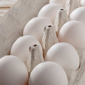 Huevos Blancos Frescos de Alta Calidad, Huevos de Gallina Orgánica de Corral, Ricos en Proteínas, Seguros, Frescos de Granja, Suministro Diario para el Hogar y Negocios - Product Image 6
