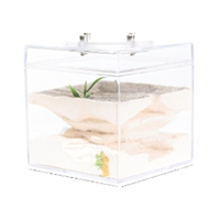 Aangran Nid de fourmis mini/moyen en acrylique écologique et durable, design transparent, fermeture à bouton, facile à nettoyer, toutes saisons