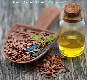 Suministro Directo de Fábrica HGO de Extracto Puro de Linaza Natural (Linum usitatissimum) Grado Alimenticio Especificación 10:1 - Product Image 3