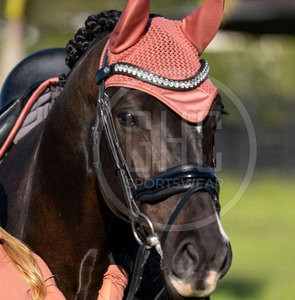 Horse Riding Equipment Ear <b>Bonnet</b> Latest Design OEM Service Equestrian Breathable Lightweight Horse Ear <b>Bonnet</b> - Product Image 3