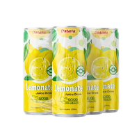Jus de fruits naturels vitaminés OEM/ODM 250ml en canette mince, boisson au jus de citron, jus de fruits et légumes sous marque privée
