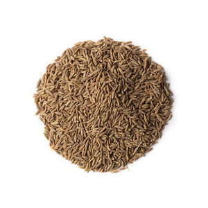 Semillas de comino ofrecidas para compra al por mayor y procedencia rentable para distribuidores - Product Image 3