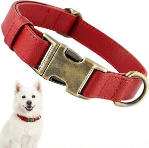 Collar de Cuero Rojo para Perro con Hebilla de Latón, Ajustable, Estilo Clásico para Perros Medianos, Todas las Temporadas - Product Image 1