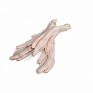 Patas de Pato Congeladas de Primera Calidad, Venta al Por Mayor, Suministro a Granel, Listas para Enviar, Grado Alimenticio, Exportación Global - Product Image 1