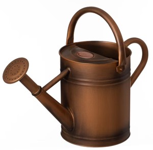 Perfect watering can for indoor <b>plants</b>, flowers, herbs, and succulents Stylish and functional watering can for modern <b>plant</b> care - Product Image 5