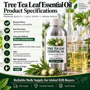 Fournisseur en gros d'huile essentielle de Melaleuca Alternifolia pour les importateurs internationaux et les grossistes - Product Image 2
