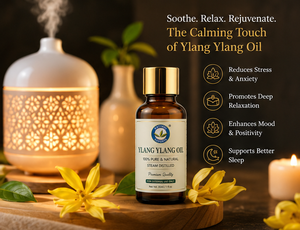 Huile Essentielle d'Ylang Ylang Pure 1 KG Distillée à la Vapeur - Approvisionnement en Gros - Pour Cosmétiques, Soins Personnels et Applications d'Aromathérapie - Inde - Product Image 4