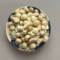 Vietnamese Premium Roasted Macadamia Nuts in Shell, Bulk Supply, OEM ODM export supply Private Label