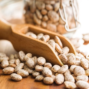 Proveedor Mayorista de Frijoles de Azúcar Orgánicos Secos de Alta Calidad, Venta al por Mayor a Precio Económico |   Frijoles Pinto a Granel, Origen AI, EE. UU. - Product Image 1