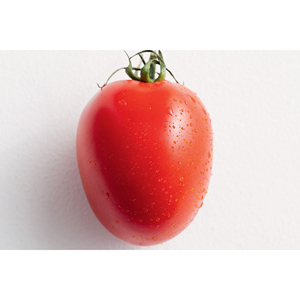 Tomates Frescos Naturales a Precio Económico en Stock - Product Image 1