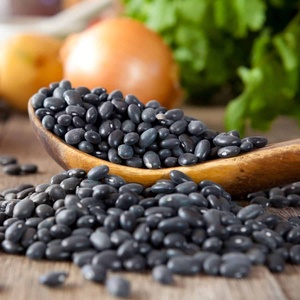 Premium Bulk Black <b>Beans</b> for Wholesale Organic, Non-GMO, High-Quality Dried <b>Beans</b> for Retail & Foodservice Best Discount Offer - Product Image 4