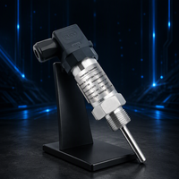Sensor PT100 dengan Panjang Probe yang Dapat Disesuaikan PTT04V Output Analog Tegangan 0-10V Sensor Suhu dan Kelembaban