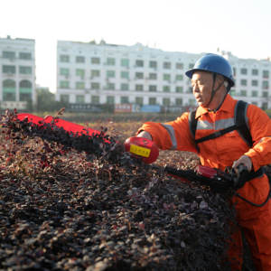 Tondeuse à gazon professionnelle électrique à moteur puissant pour une coupe rapide et précise - Product Image 3