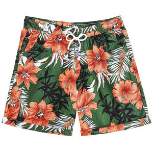 Pantalones Cortos de Verano para Hombre, Estampados, Cintura Elástica con Cordón, Casuales, Coloridos, Ligeros, para Playa y Vacaciones - Product Image 1