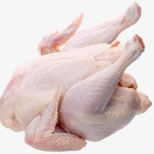 ไก่แช่แข็งทั้งตัวสำหรับส่งออก / เนื้อไก่คุณภาพเยี่ยม เกรดซุปเปอร์ ไก่แช่แข็งไร้กระดูกและหนัง - Product Image 4