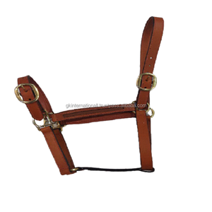 Licol de cheval en cuir de luxe, cuir de haute qualité, canal vide, avec couronne anatomique et matériel en or ROSE - Product Image 6